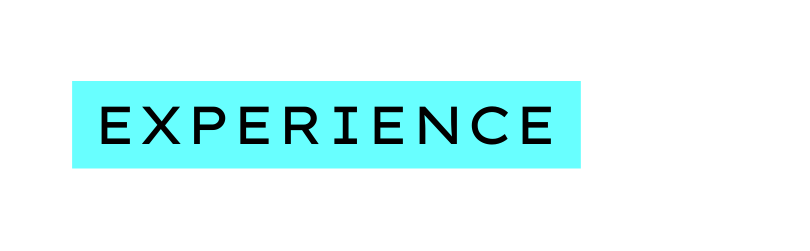 EXPERIENCE